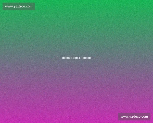 詹姆斯：第 23 季启新程 40 岁仍燃赛场激情